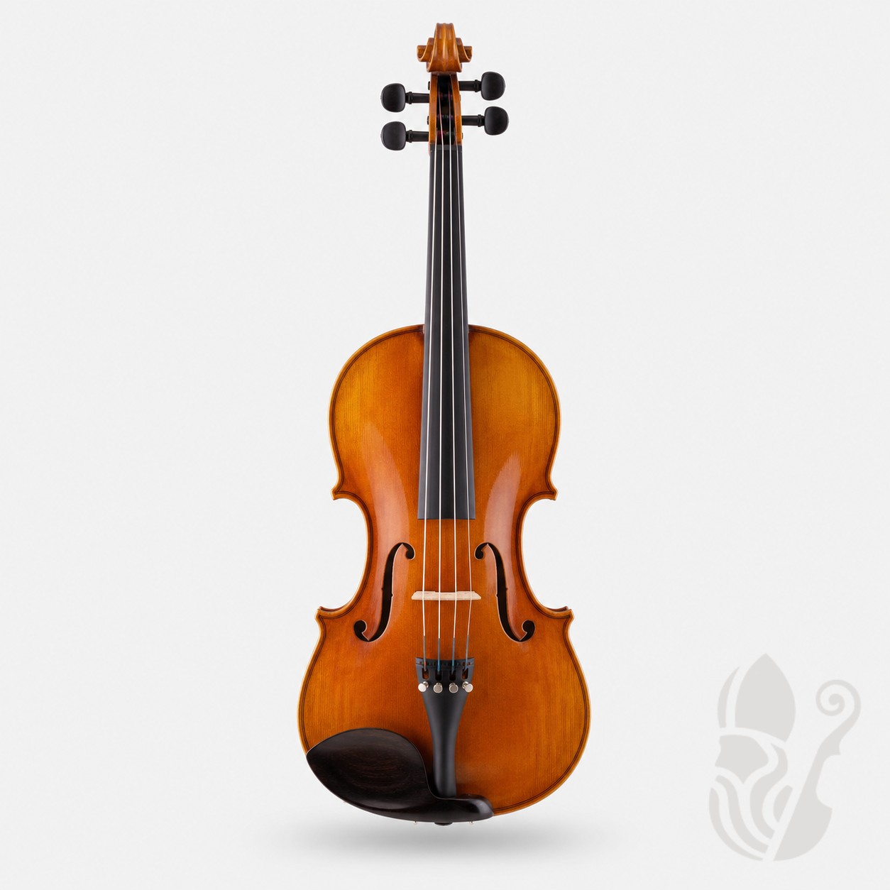 Violín